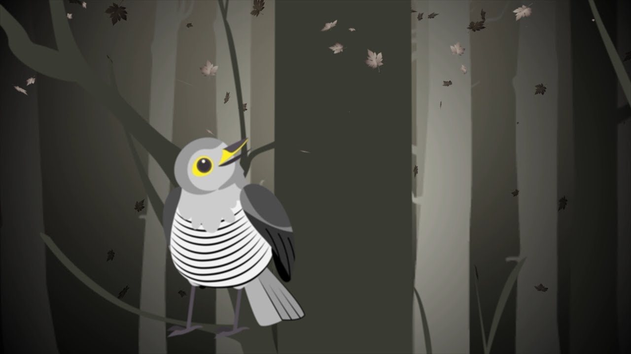 The Carnival of the Animals: IX. The Cuckoo in the Deep Woods – Animated Music Video | Sharlene Hsu