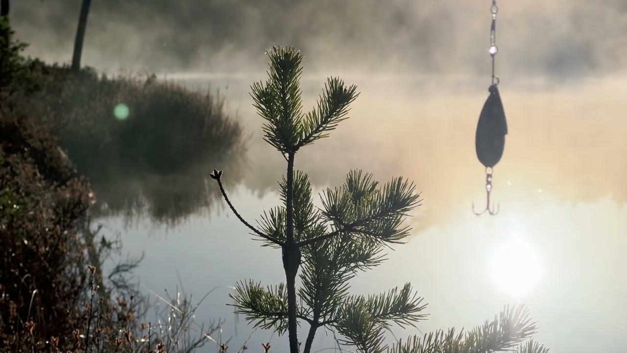 Content loudness test 4 (Bus1 +10 Normalize audio YouTube)