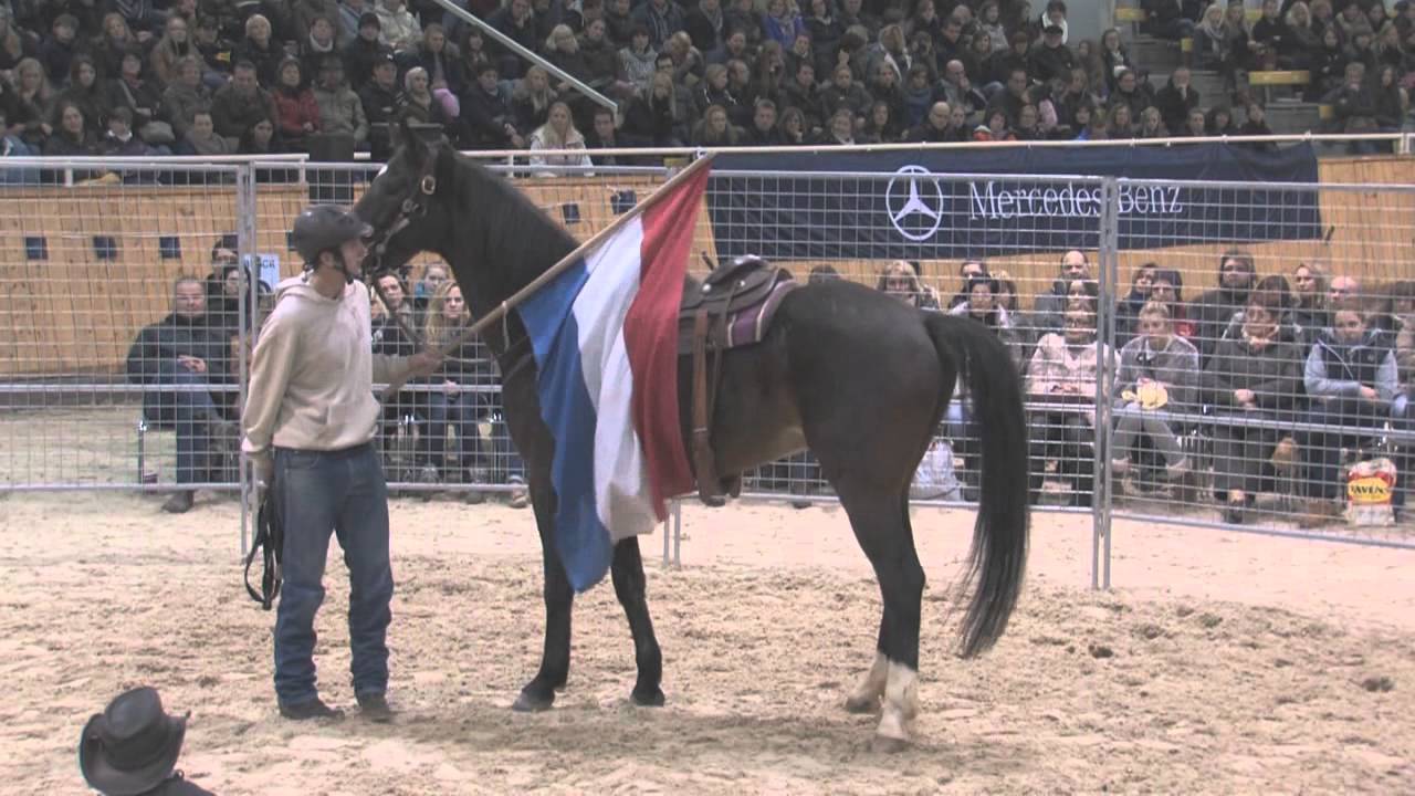 Valentin auf Monty Roberts Deutschland Tour 2012
