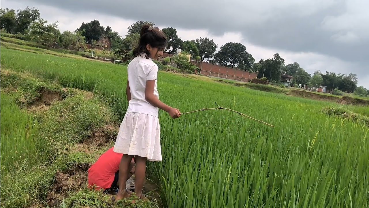 बकरी चराने खेत तरफ़ 😎| dehati lifestyle blog #myakvlog #dailyvlog