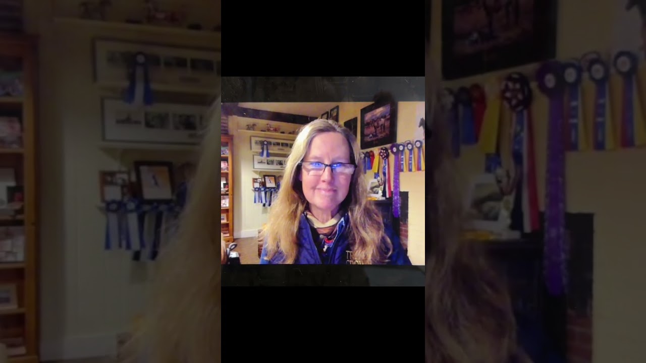 Full Interview with Miss Stephanie Hayes about Working Equitation Part 