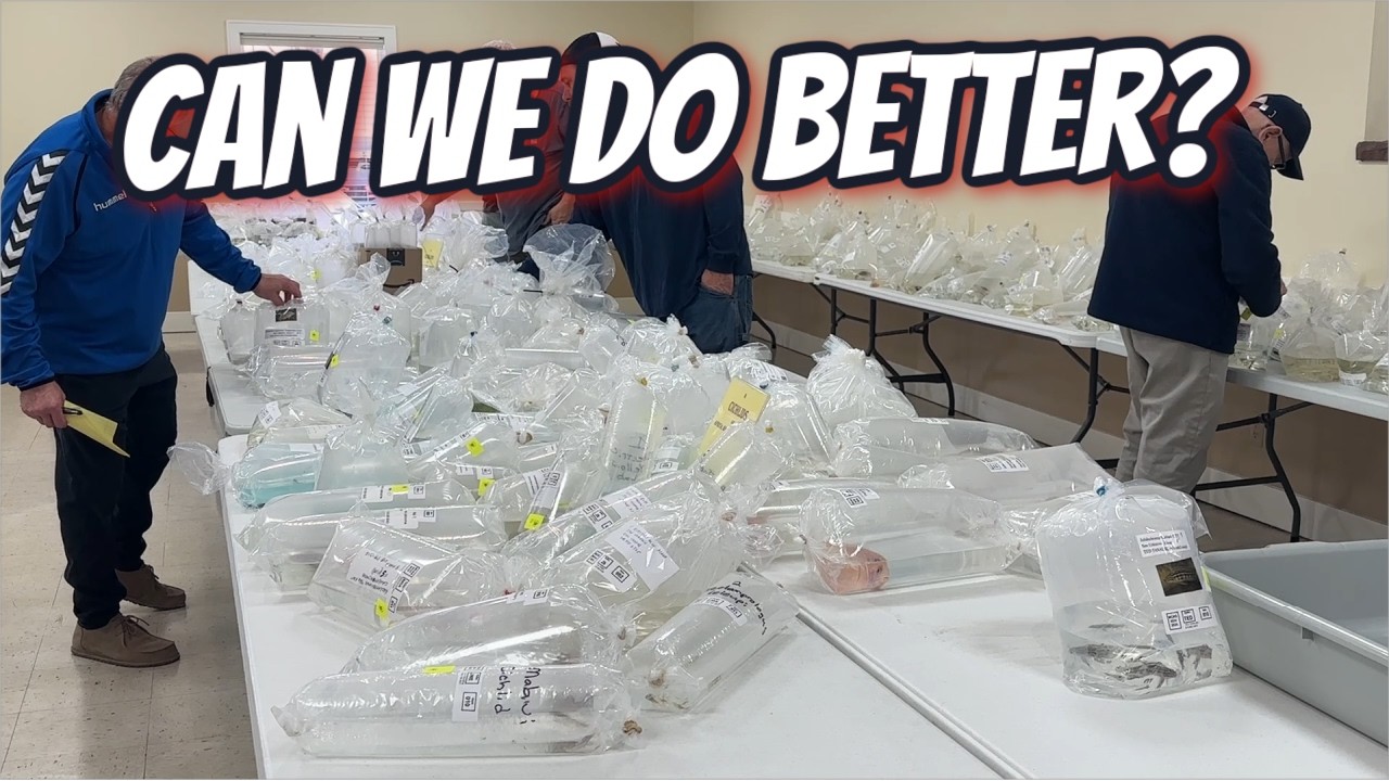 Are We Treating Our Fish Humanely? Fish Rating Game, and More!
