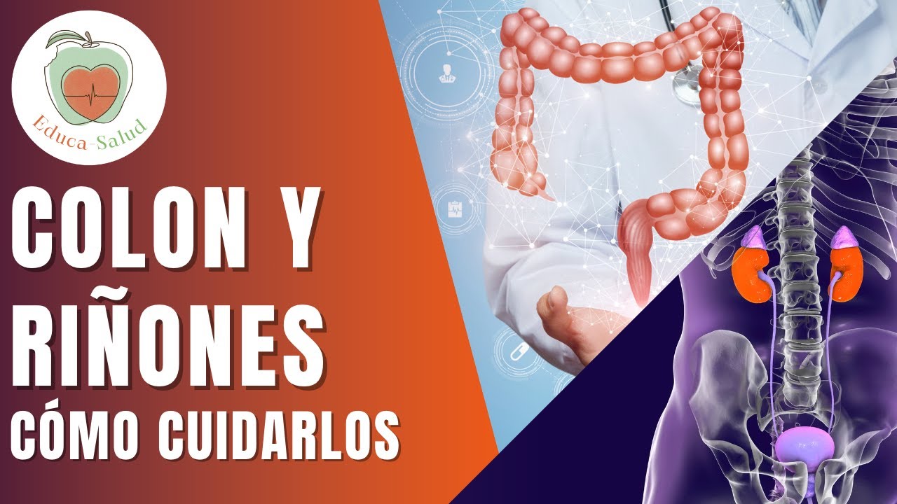 Colon y Ri&ntilde;ones:  C&oacute;mo cuidar los &oacute;rganos de eliminaci&oacute;n