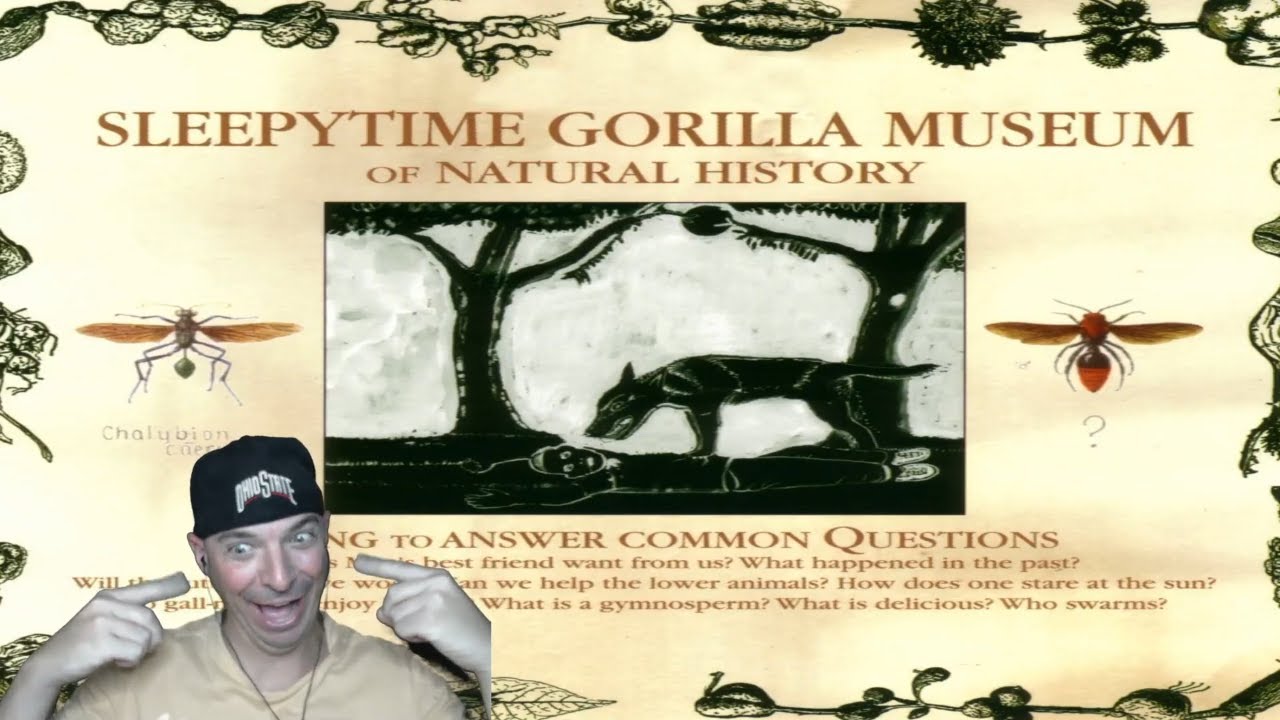 WOW, Shocked! First Time Reaction! (Sleepytime Gorilla Museum X's 3; Winds; Winds) (#212)