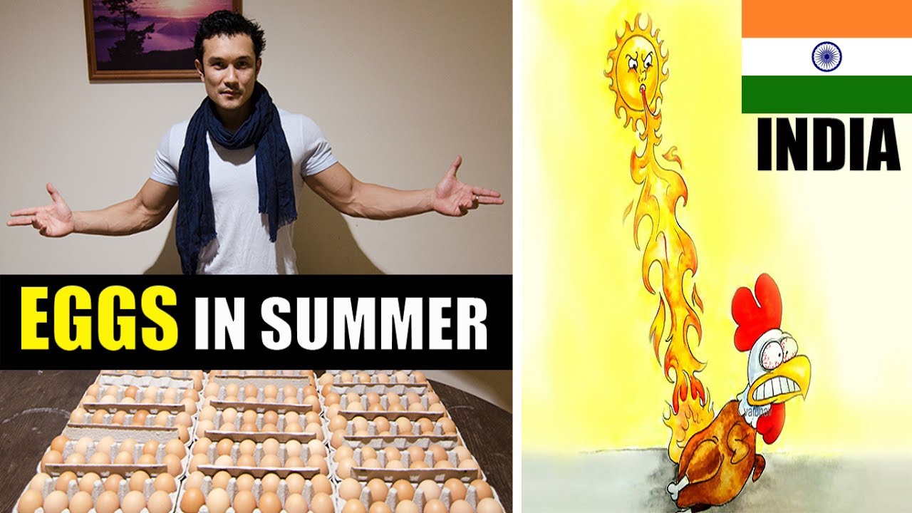 HOW MANY EGGS YOU SHOULD EAT(जानलेवा गर्मी में कितने अंडे खाएं?)