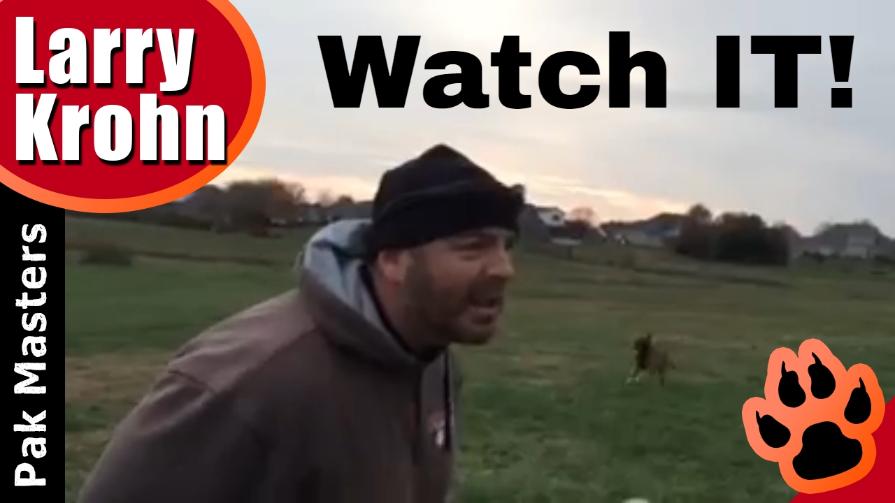 Dog Training | How To Teach Watch It | Pak Masters Nashville