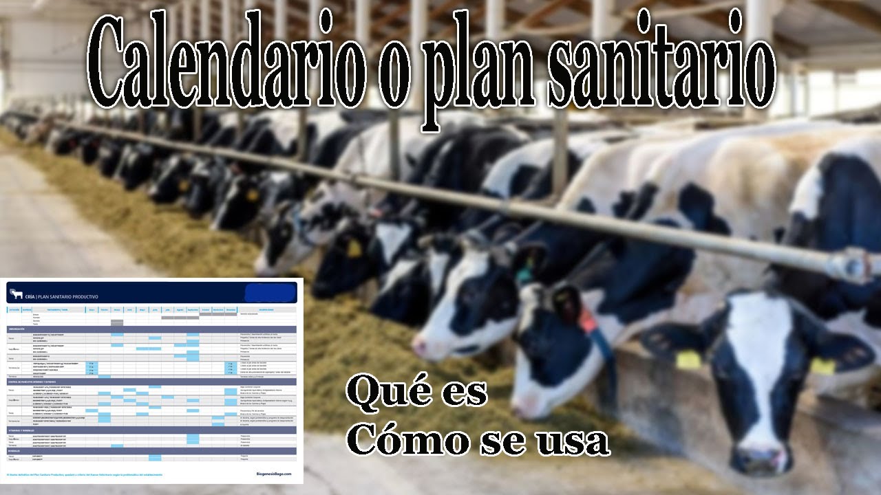 Plan sanitario || Calendario sanitario