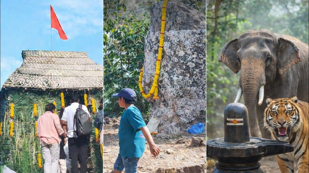 ഉൾക്കാട്ടിലെ കാടിന്റെ മക്കളുടെ പുണ്യ ഭൂമി