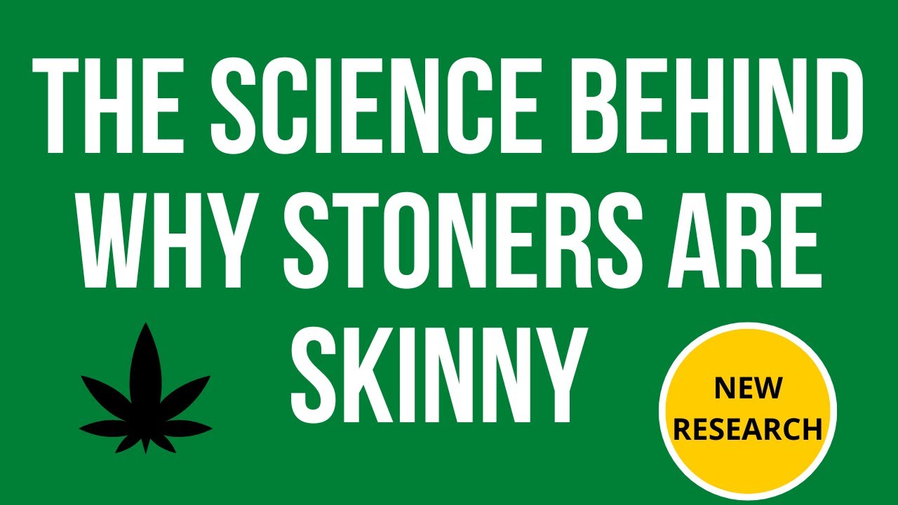 How adolescent cannabis use can affect long-term metabolism as an adult