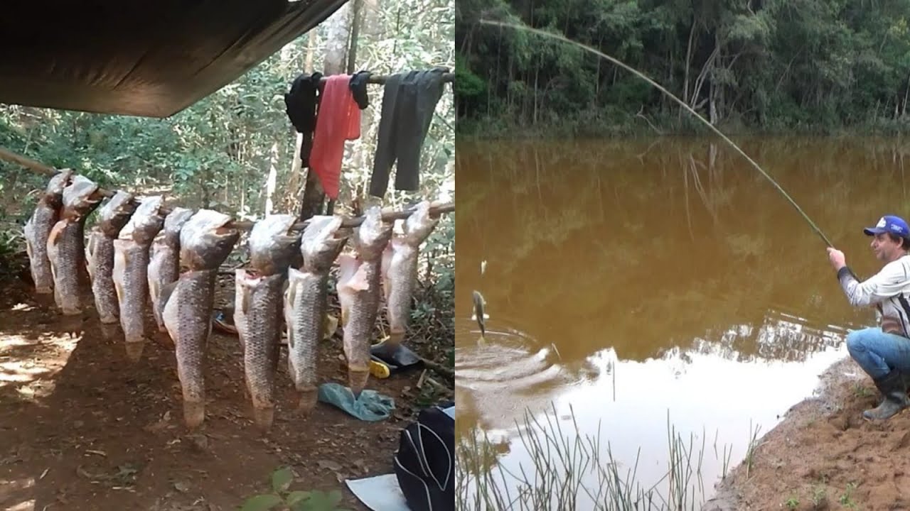 Acampamento raiz, com pesca caipira e um frito de traíra