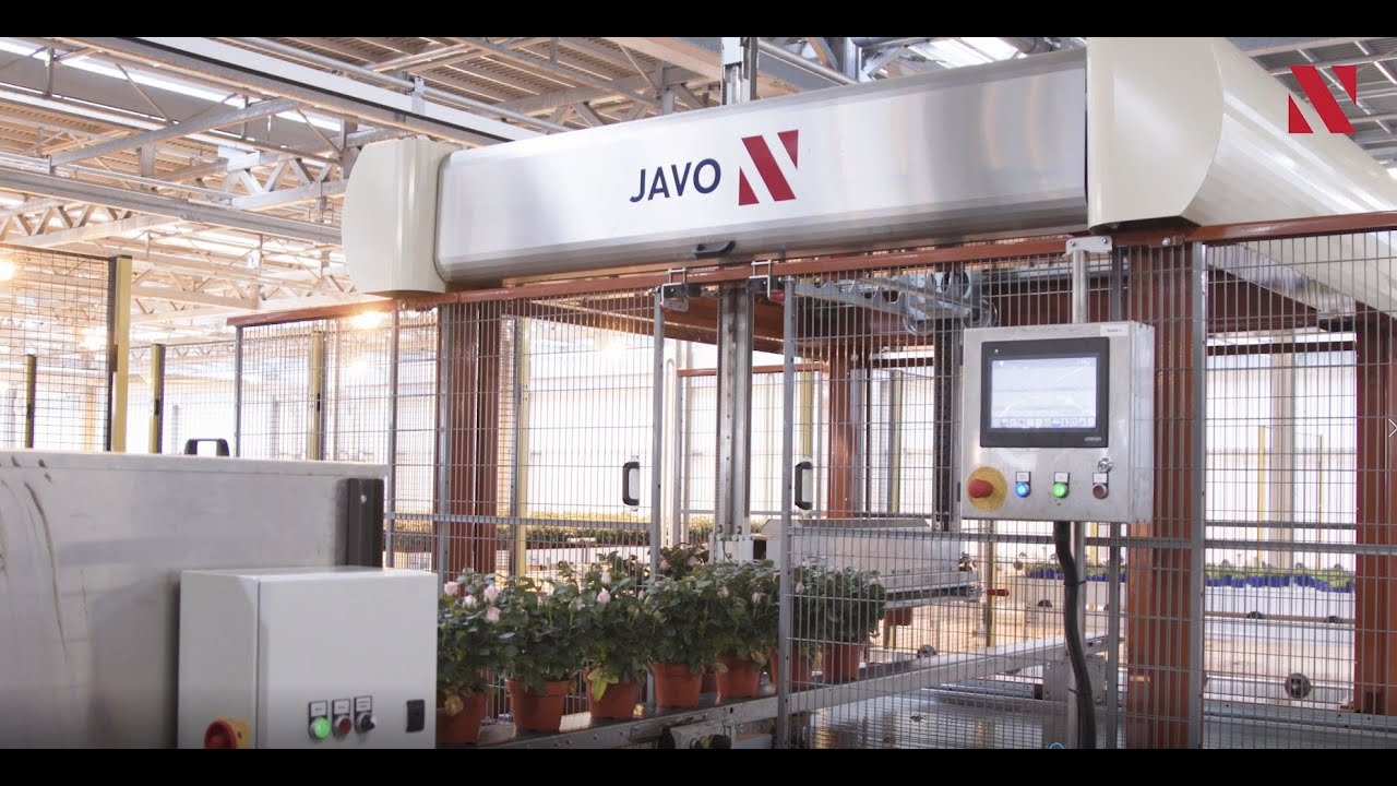 Complete Javo automation at Pligt Professionals