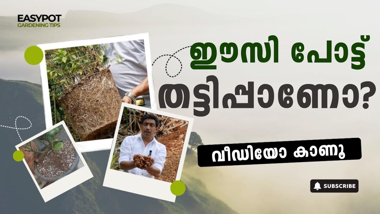 ഈസി പോട്ട് തട്ടിപ്പാണോ?