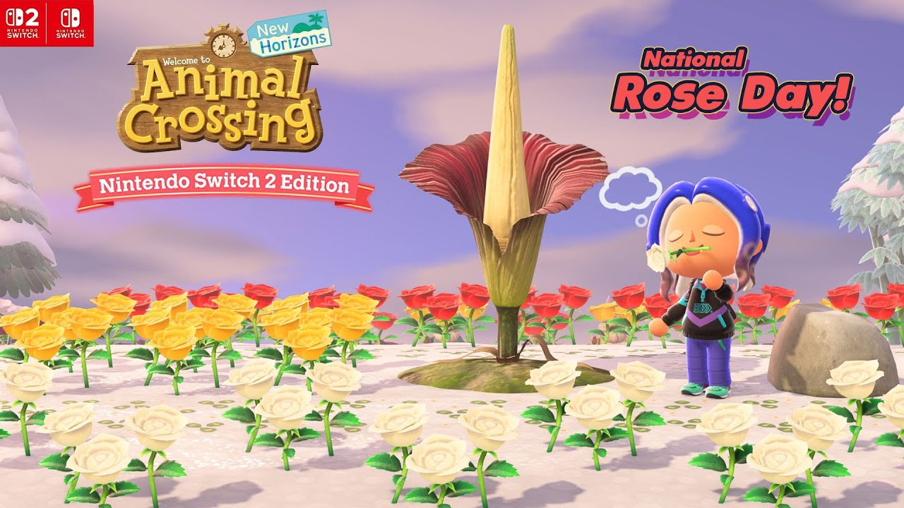 ◉ Roses Bloom in Animal Crossing NH 3.0 🌹 #RoseDay (Feb 7, 2026)a