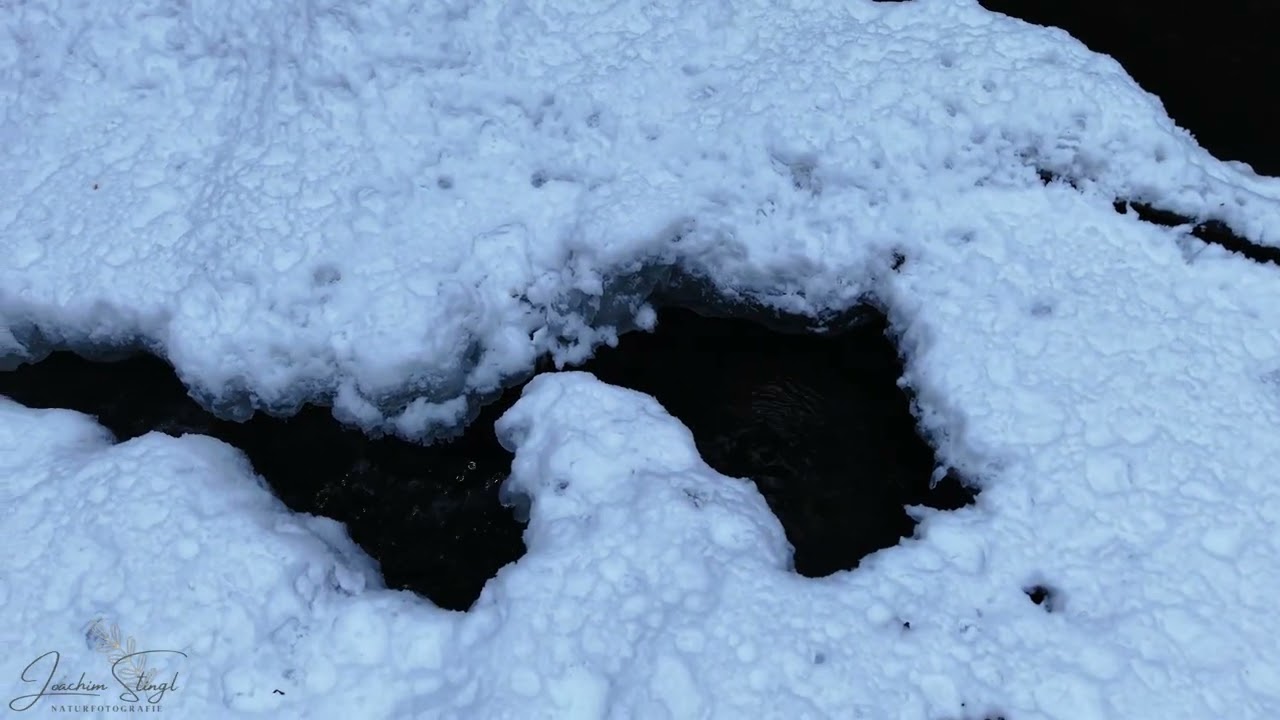Ein Wintertag im Perlbachtal