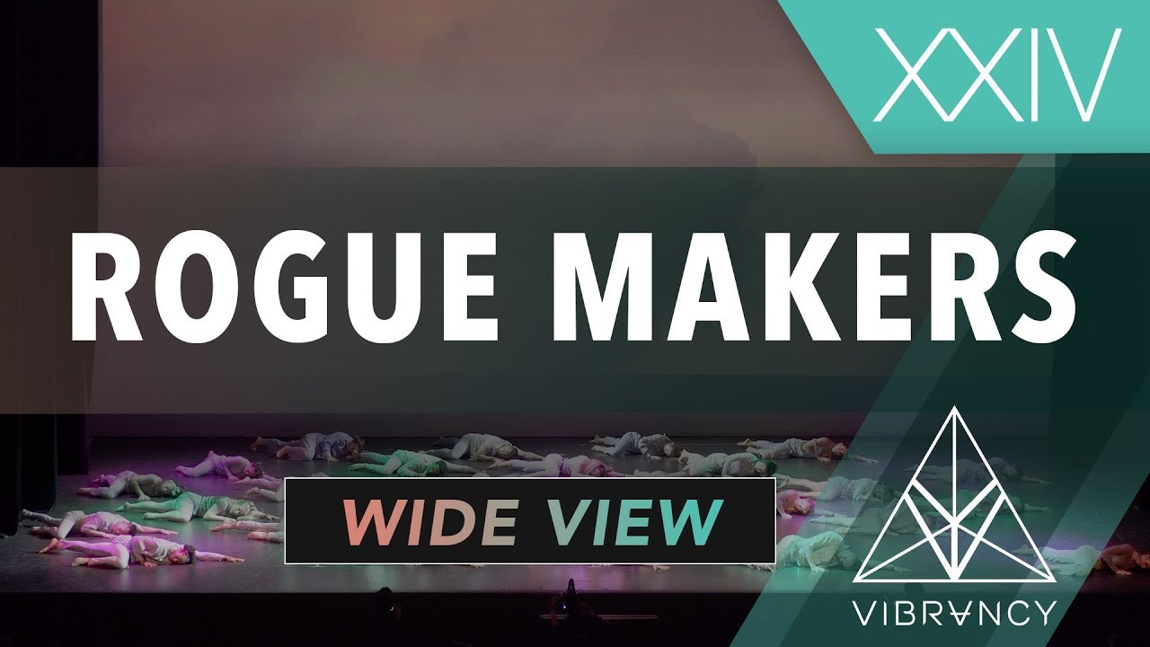 Rogue Makers | Vibe XXIV 2019 [@VIBRVNCY 4K]
