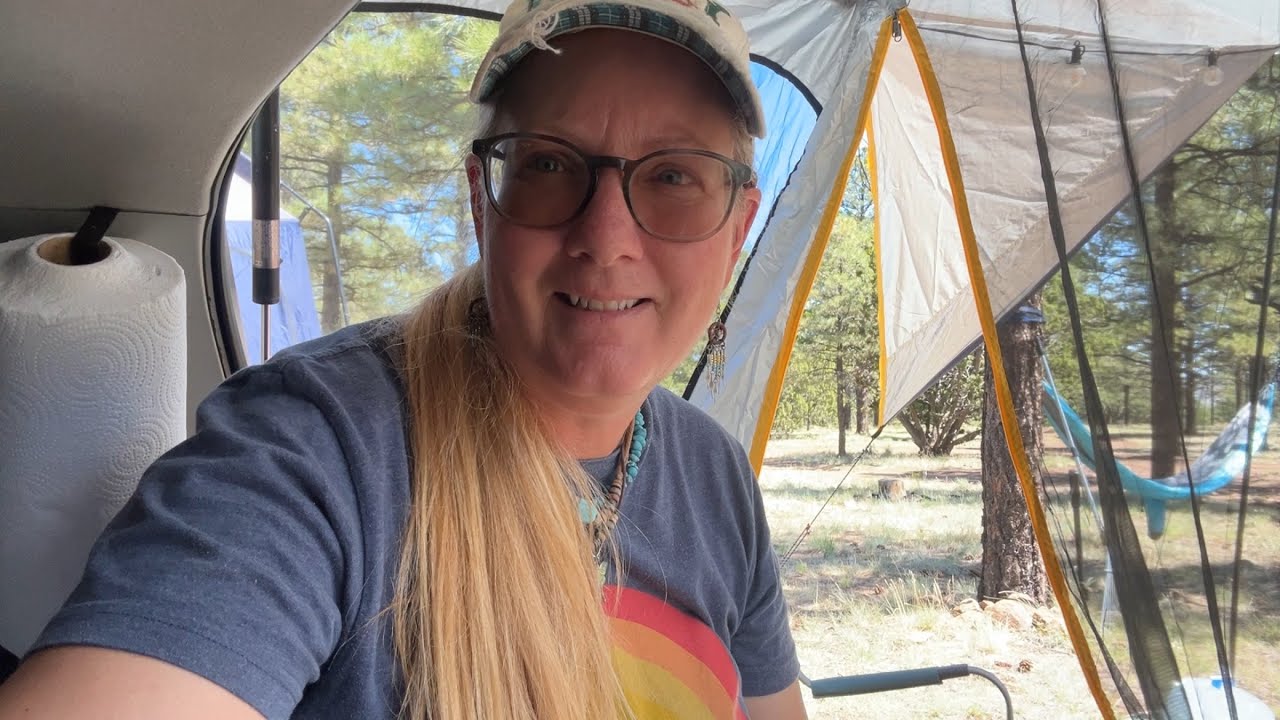 New Car Camper Tent, Tips & Hacks, Escaping the Heat & We have a New Fur Buddy!