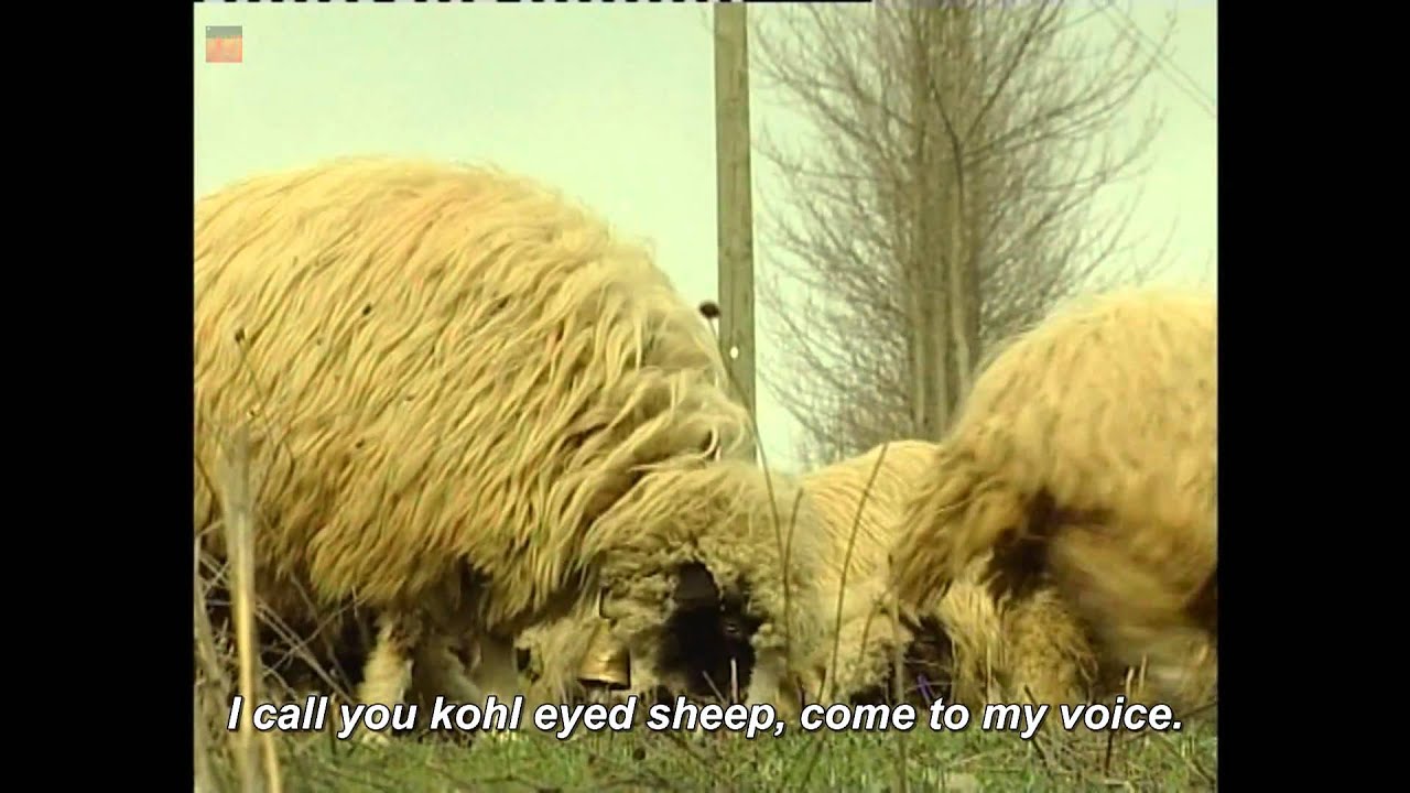 Shepherd's Pipe - Kaval Ellerin Türküsü 1/2