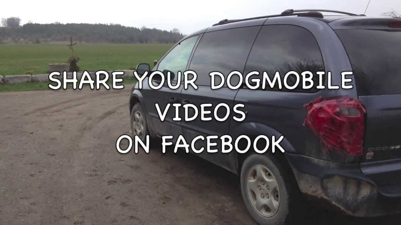 Dogmobile