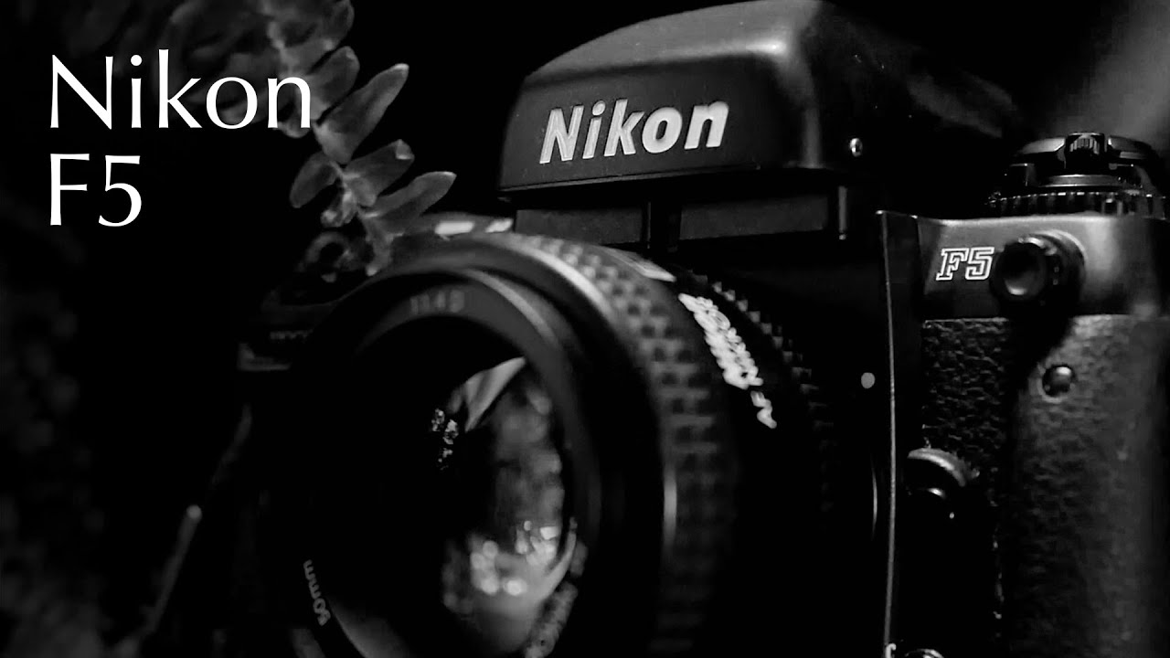 Nikon F5 Review
