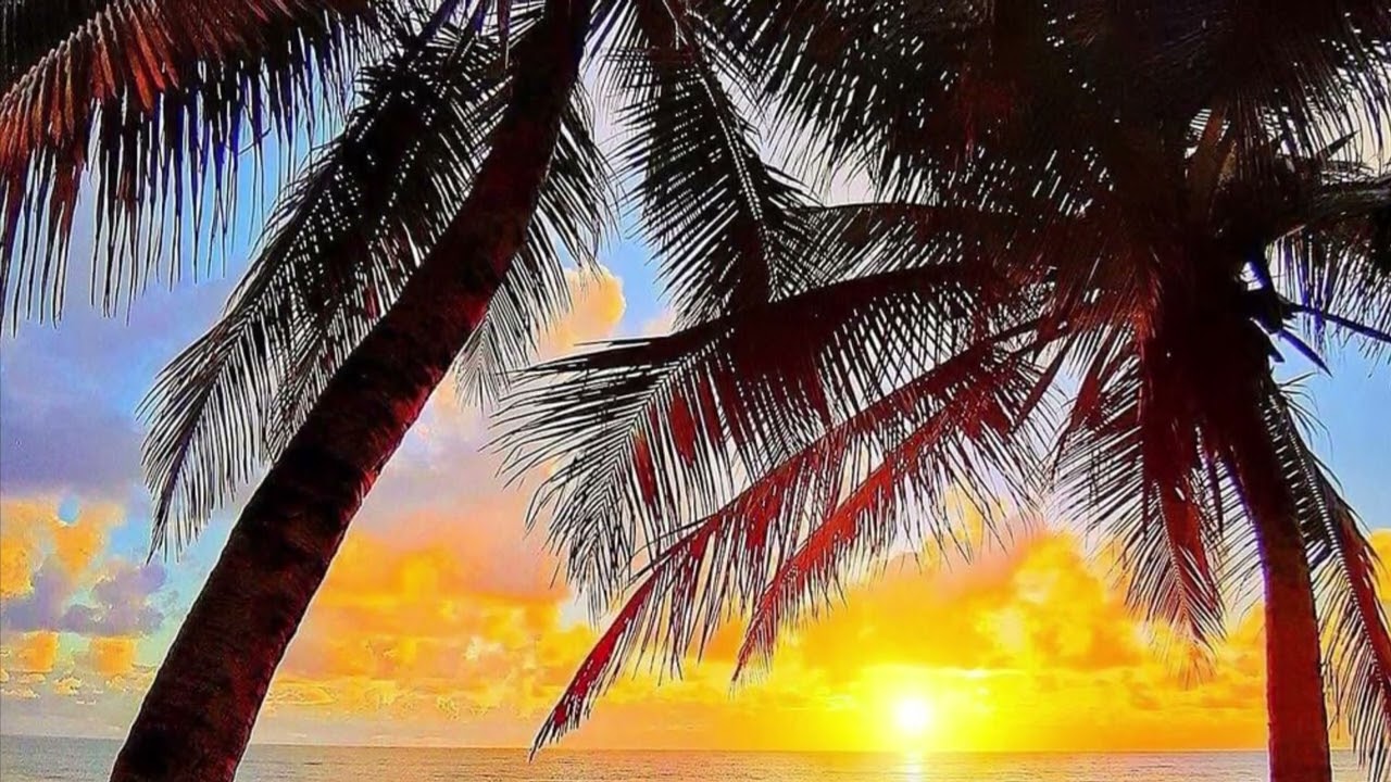 GALUPASIFIKA 2022 // Finemui …@@ofa atu @@