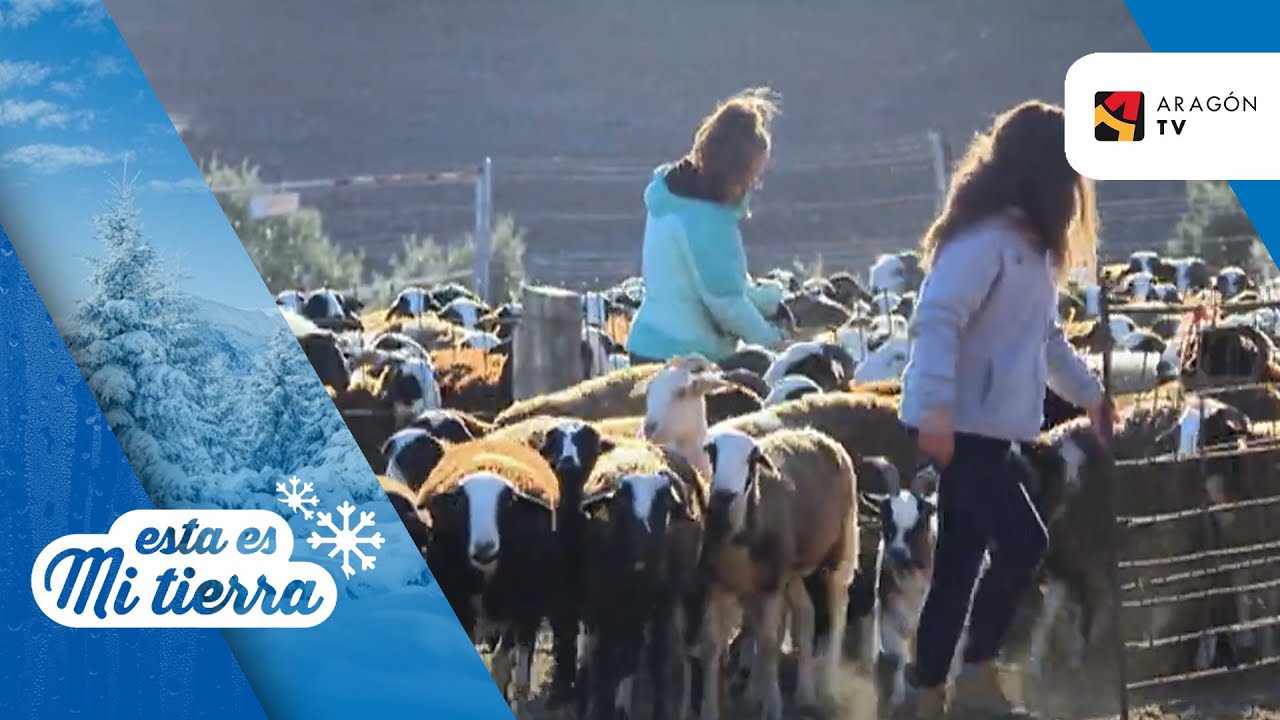 Dos jóvenes ganaderas de Cetina