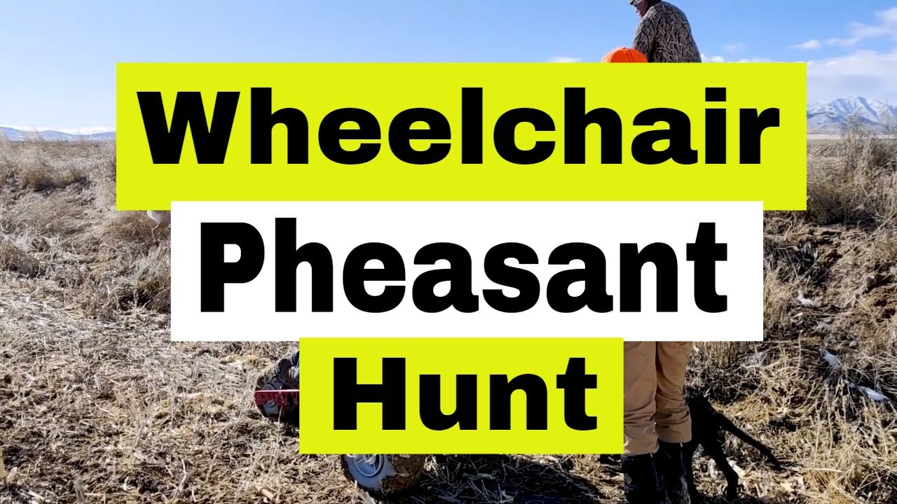 Extreme Motus Stories: Wheelchair Pheasant Hunting