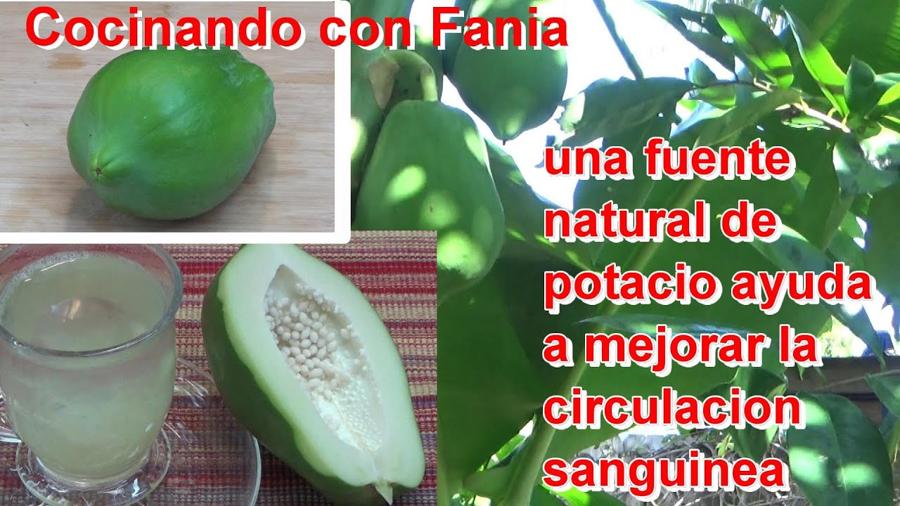 Para que sirve la papaya verde? y quien no debe consumirla