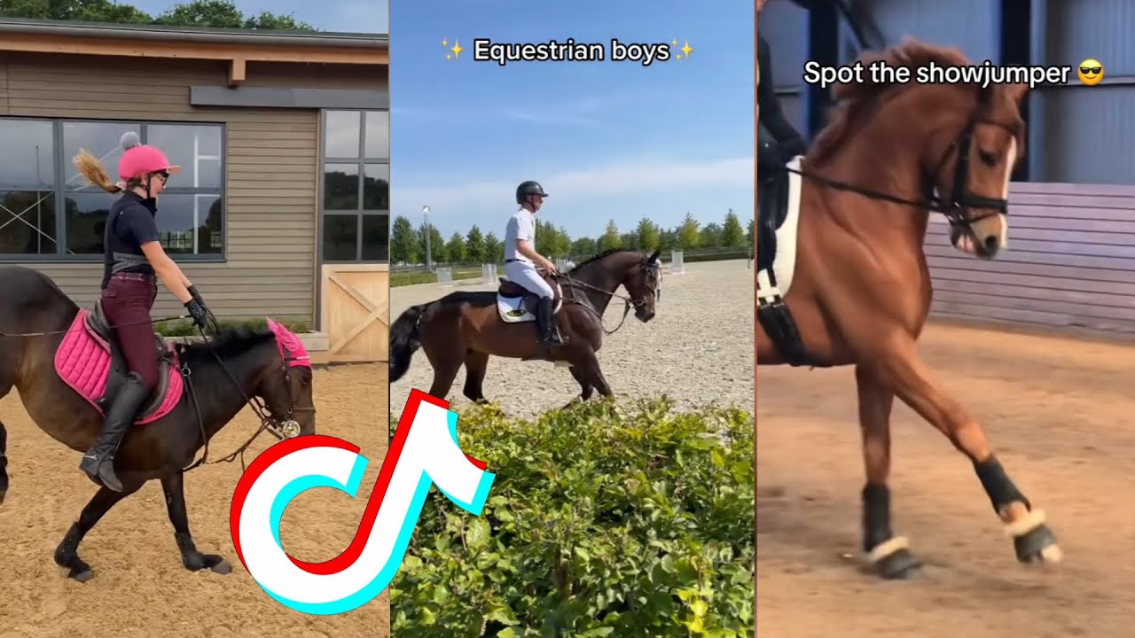 The Best HORSE 🐎 TikTok Compilation #114