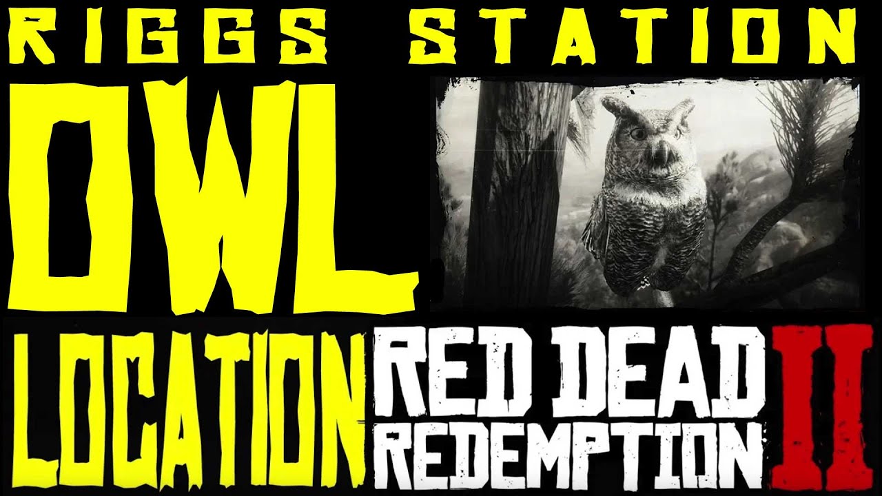 Расположение совы в Red Dead Redemption II на станции Риггс