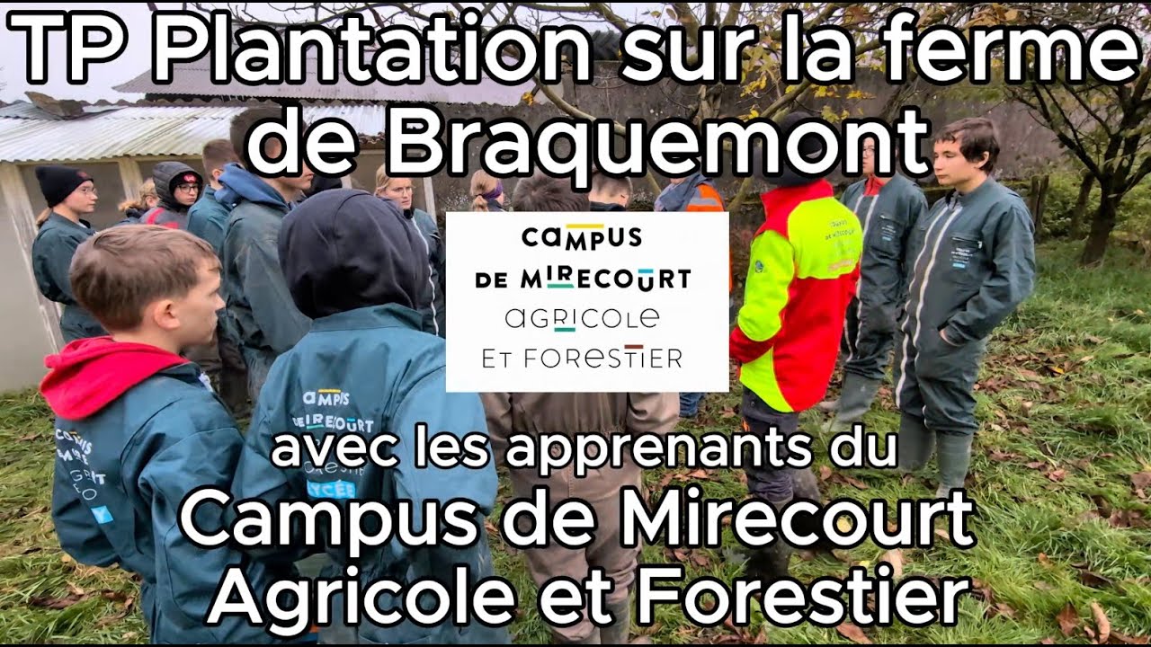 TP plantation d'arbres sur la ferme de Braquemont 🌳