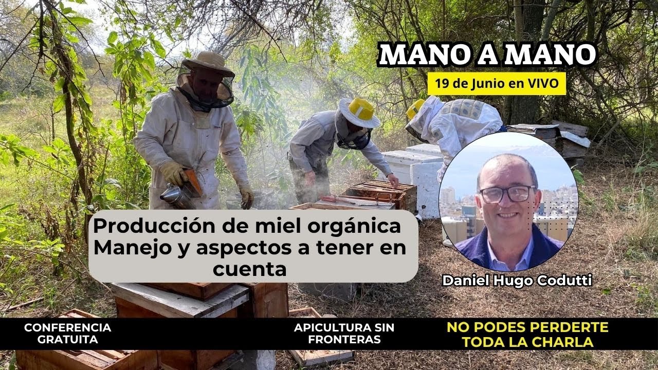 Requisitos y Producción de miel Orgánica Manejo y Aspectos a tener en cuenta