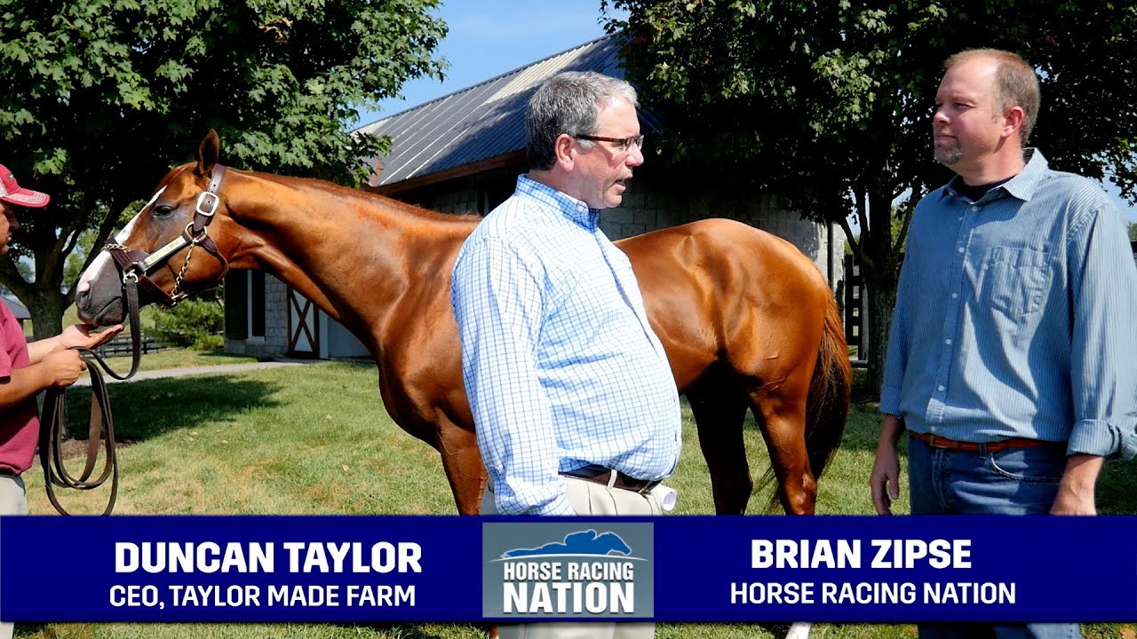California Chrome at Taylor Made Farm