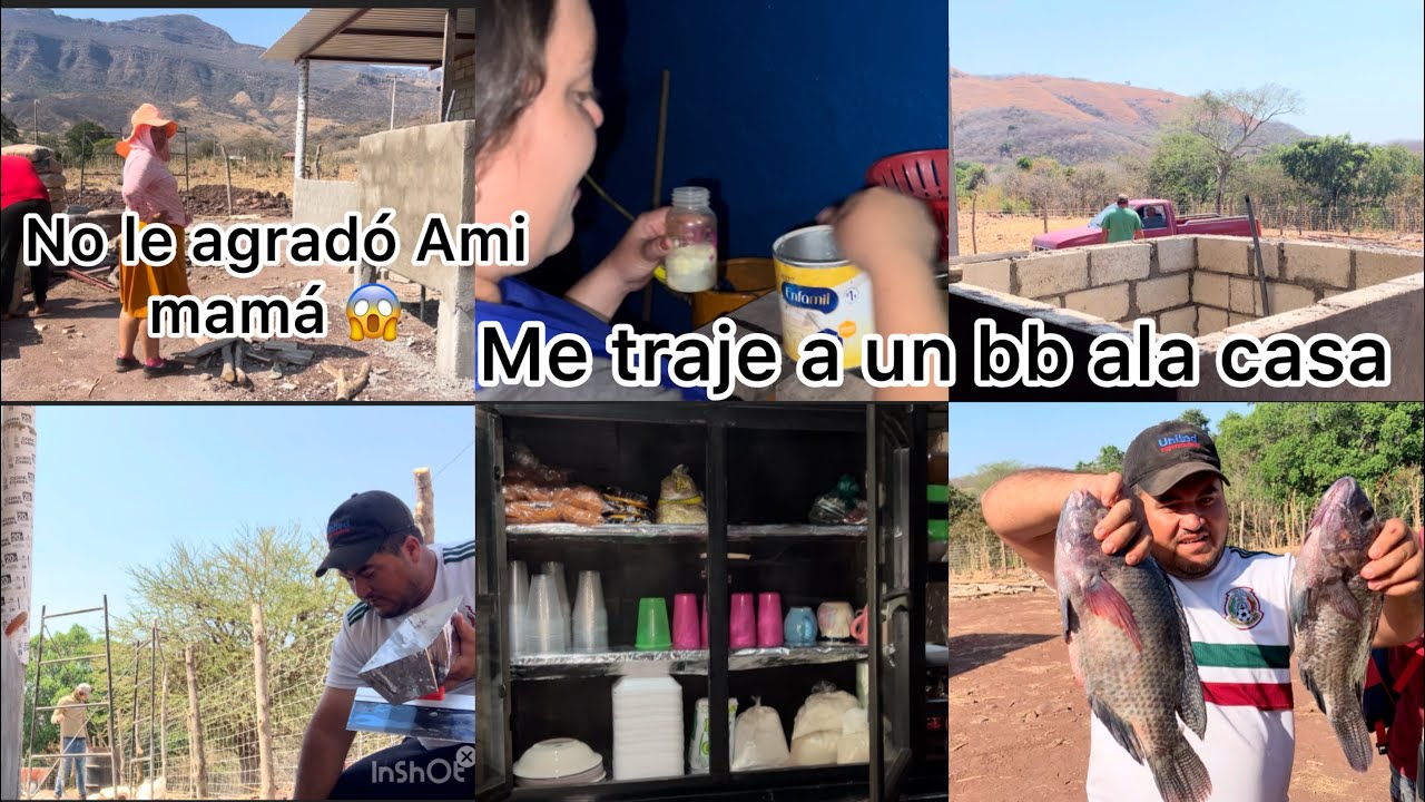 ‼️No le gustó Ami mamá 😱⁉️Me traigo a un bb ala casa 🤗 ya quedó la forma de la pila 