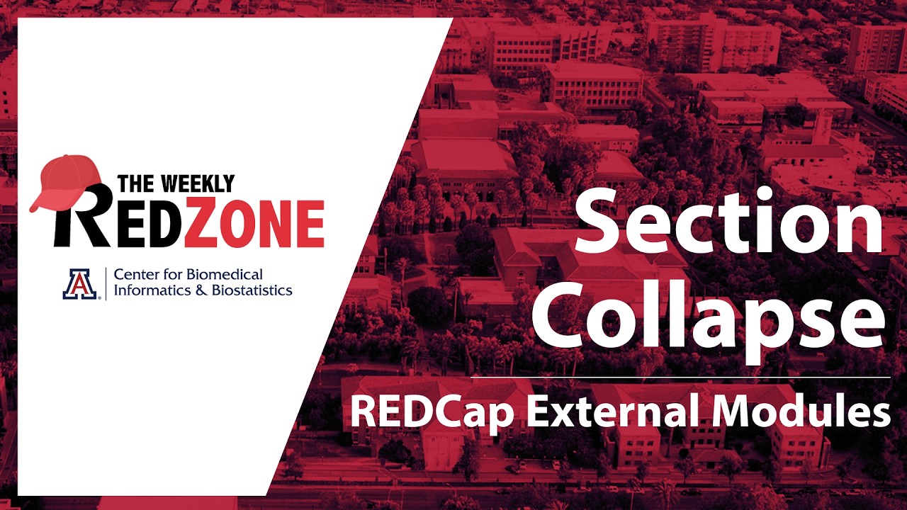 REDZone - Section Collapse