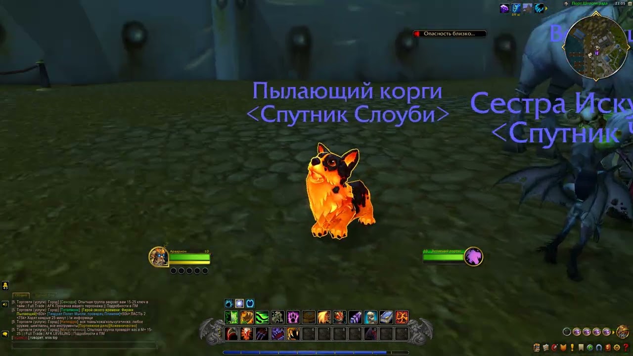 World Of Warcraft Molten Corgi Pet Review