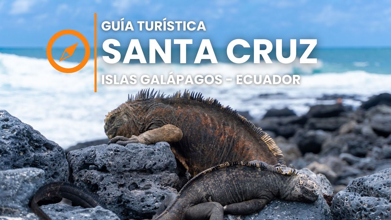 Guía Completa para Viajar a GALÁPAGOS | Requisitos, Precios y Qué Hacer en Isla Santa Cruz 🏝️✈️