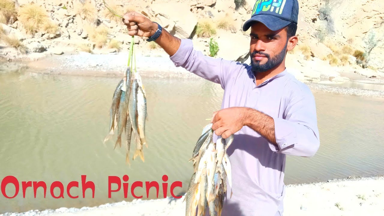 Ornach picnic