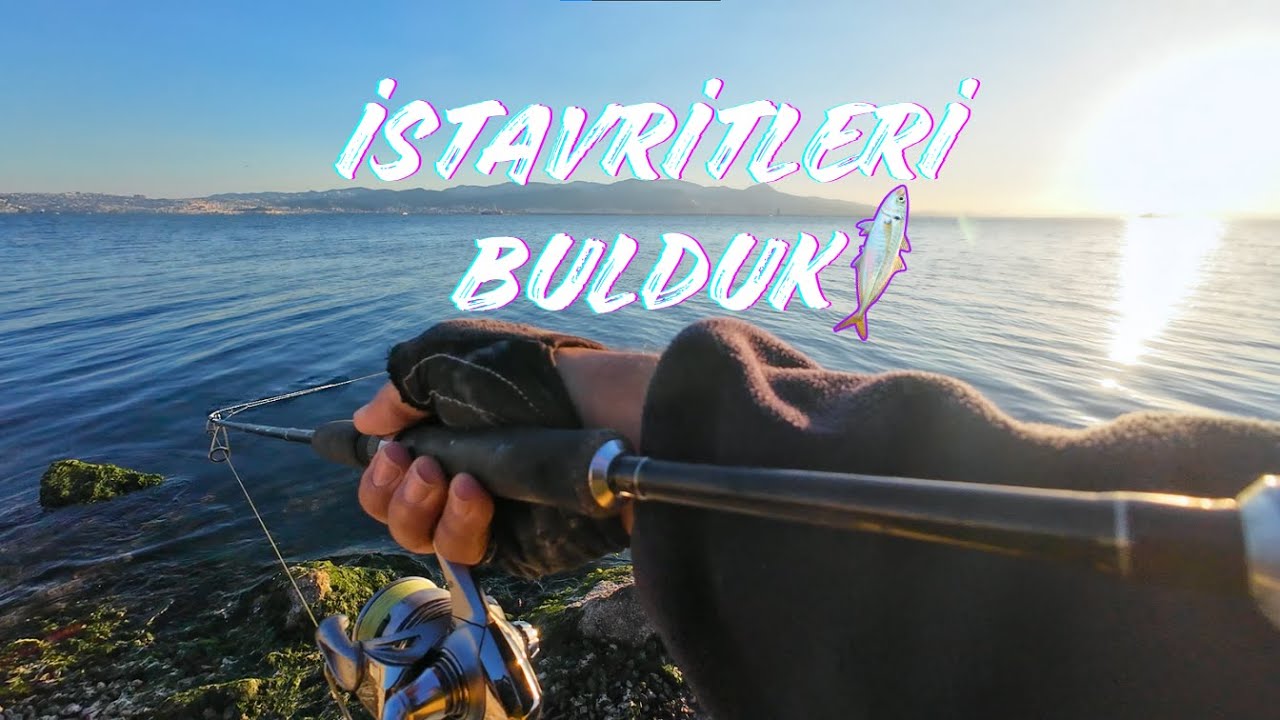 Körfezde İstavritleri Bulduk 🎣 Kısa Akşam Suyu ve Bonus 2025 Avları Bol Balık! #lrf #balıkavı