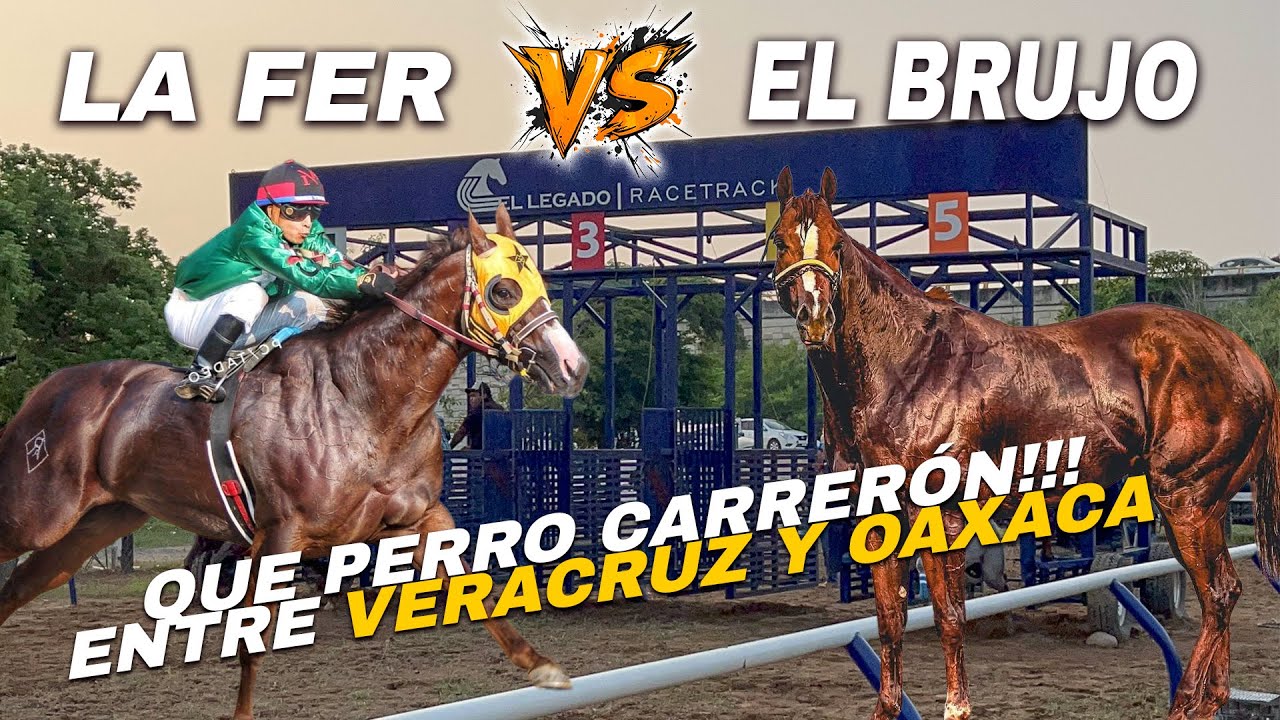 PERRO CARERRÓN ENTRE VERACRUZ Y OAXACA | EL BRUJO VS LA FER