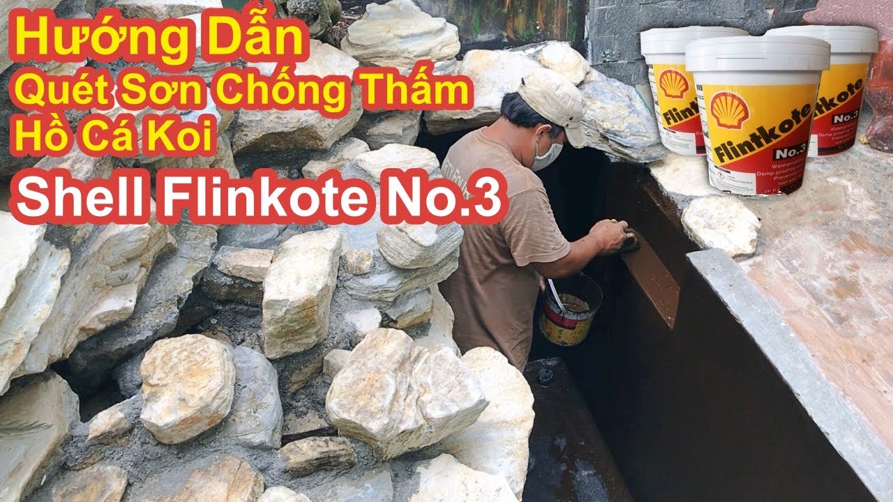 Hướng Dẫn Quét Sơn Shell Flinkote No.3 - Chống Thấm Hồ Cá Koi Và Cách Xử Lý Nước Để Thả Cá #hokoi