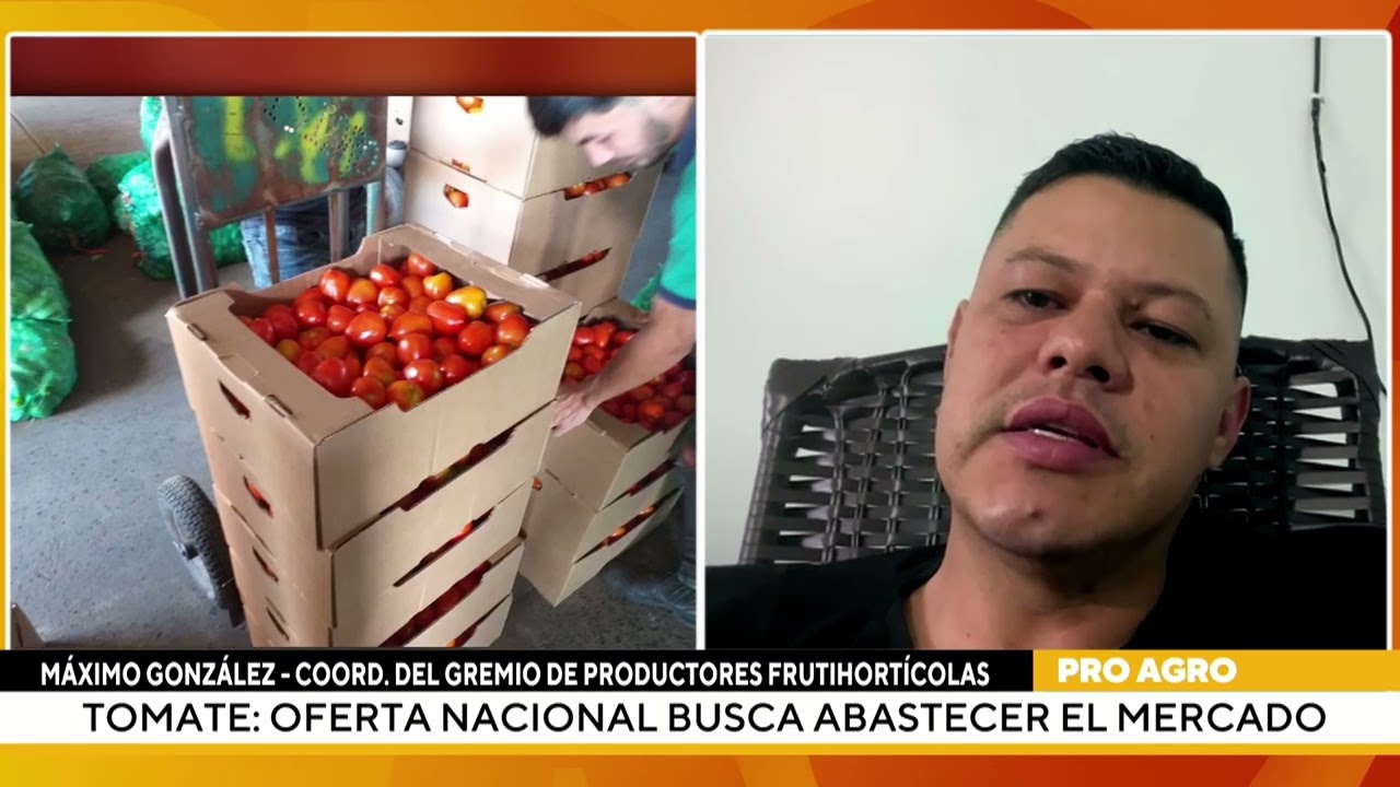 Tomate: Oferta nacional busca abastecer el mercado
