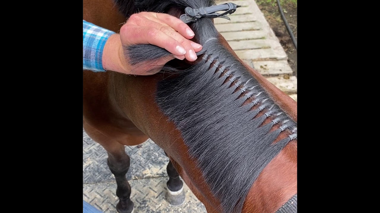 Mane banding tutorial