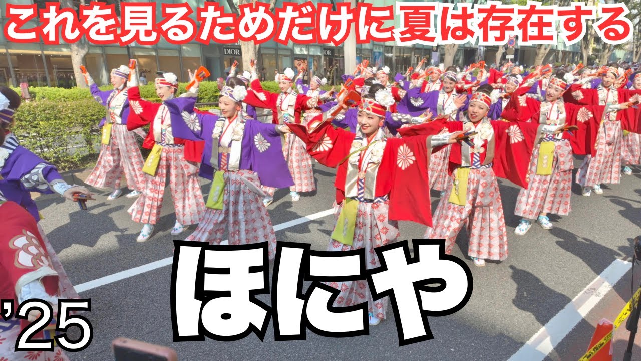 ほにや｜原宿表参道元氣祭 スーパーよさこい2025（表参道アヴェニュー）