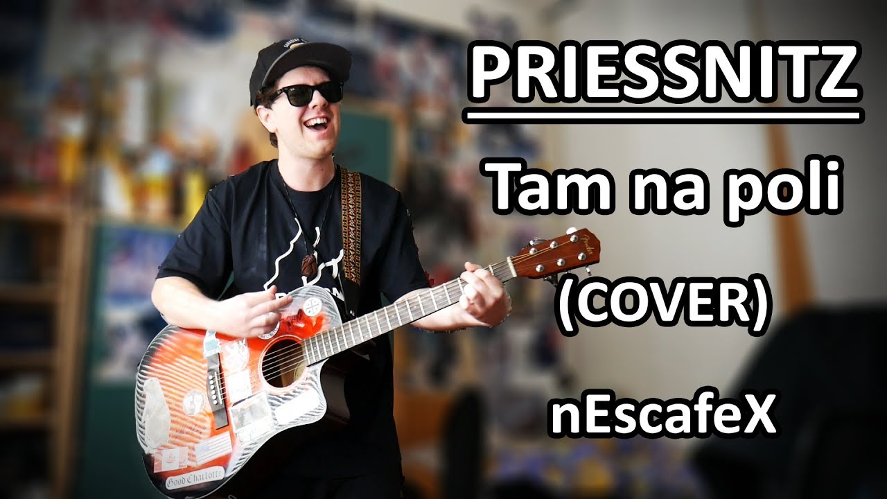 PRIESSNITZ - Tam na poli (COVER)