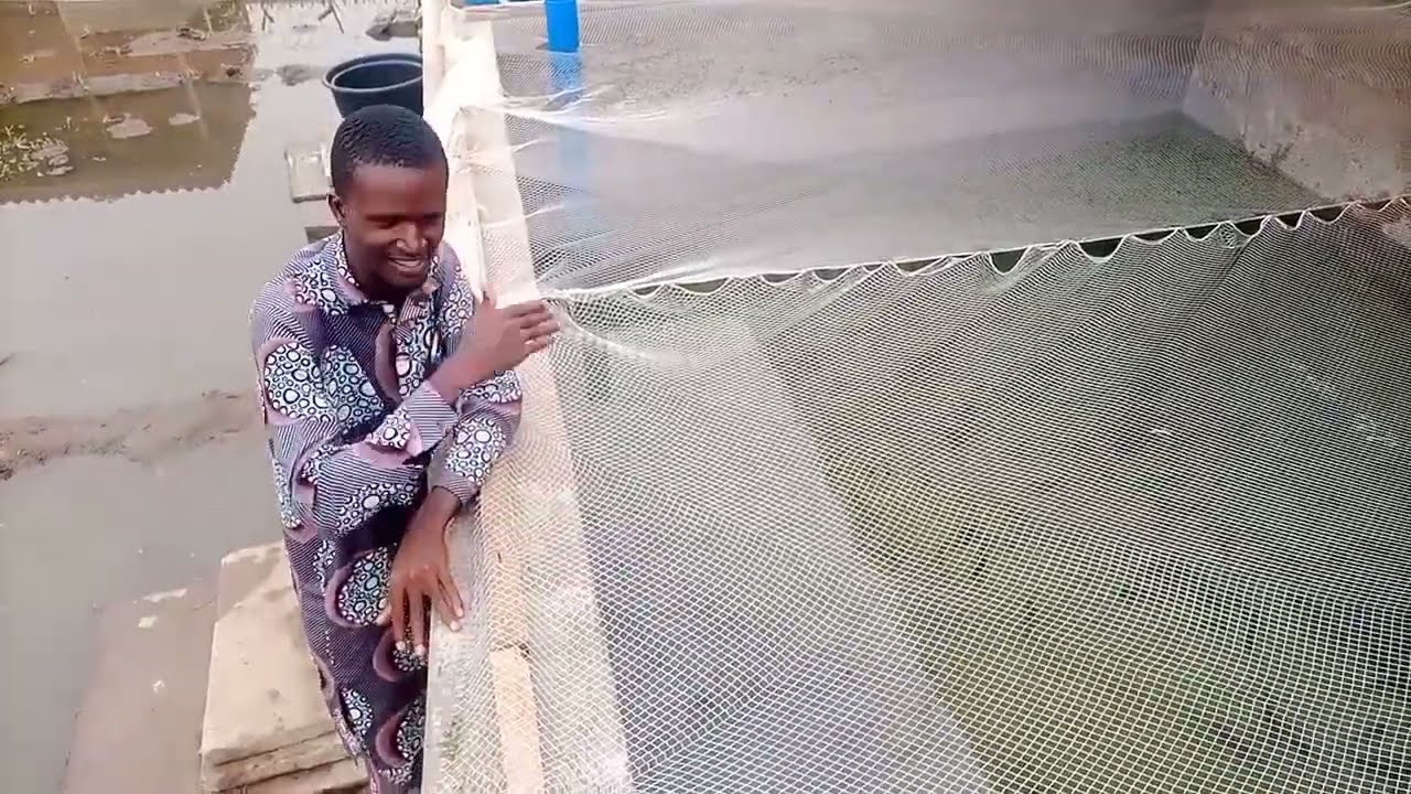Netting in fish farming