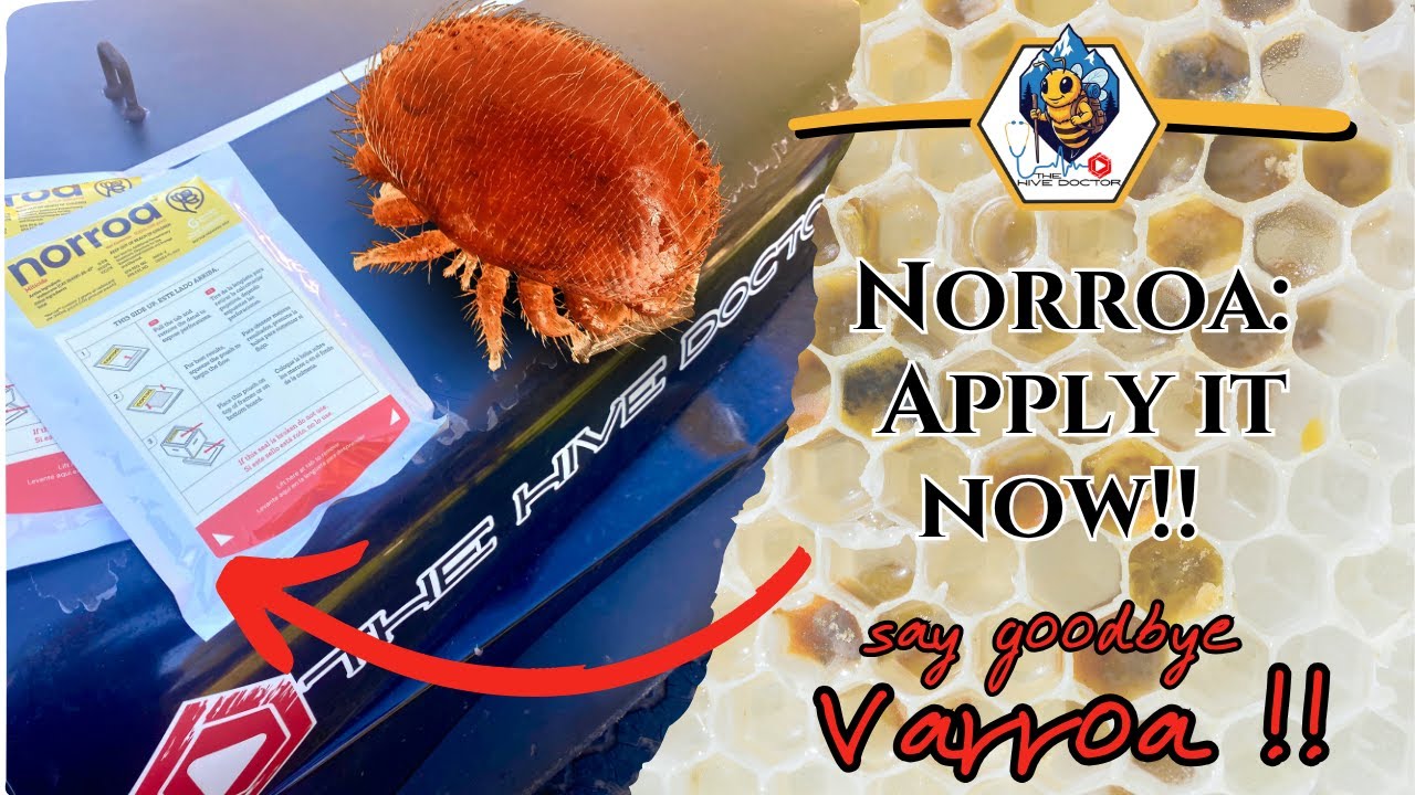 Новый подход к борьбе с клещом варроа!