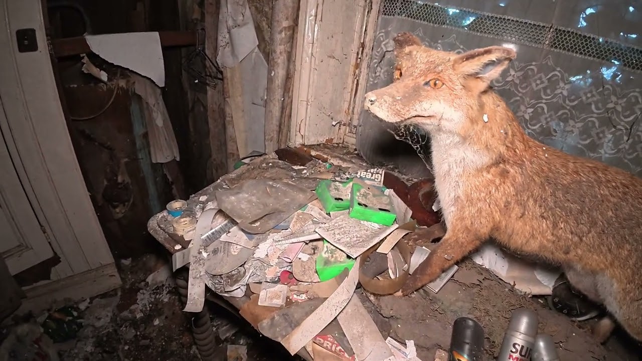 Exploring an abandoned farmhouse time capsule 