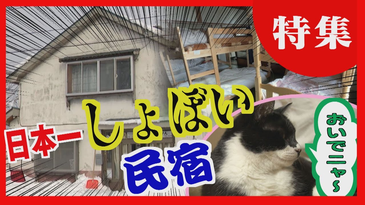 【日本一しょぼい宿】築６５年の一軒家　看板猫がお出迎え　鉄道ファンが集うゲストハウス
