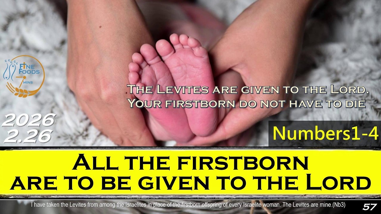 [FineFoods7] Feb26 Num1-4|All The Fiestborn Are To Be Given To The Lord|1 bible a year 2026