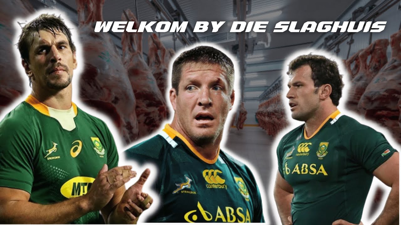 Die Springbokke Maak Skade